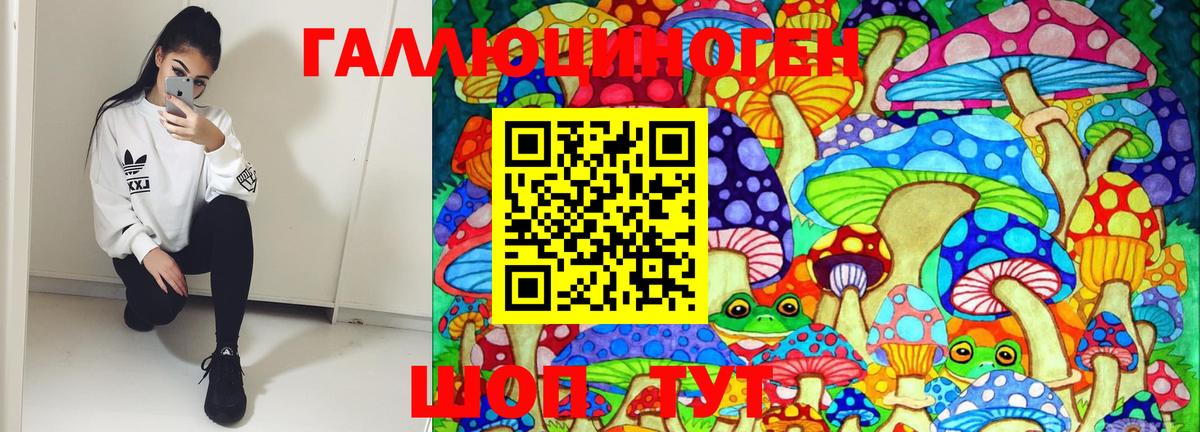 Заволжье  Галлюциногенные грибы Magic Shrooms  Вход с VPN 